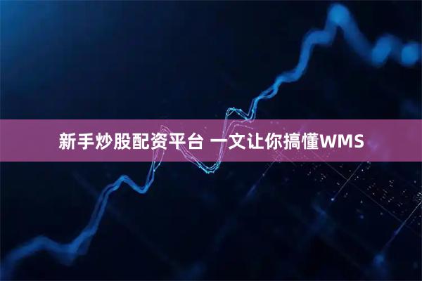 新手炒股配资平台 一文让你搞懂WMS